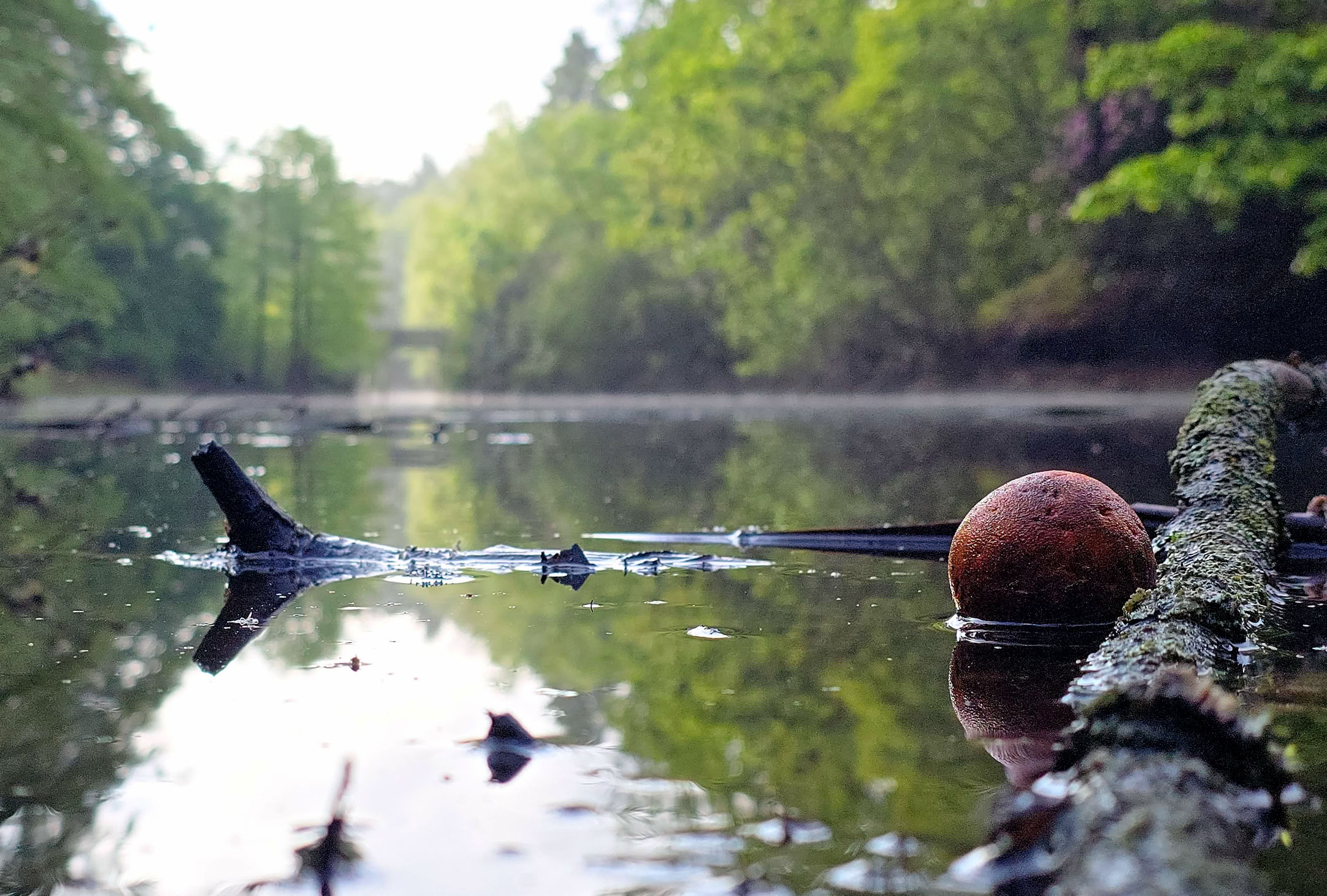 A calm river with a branch and a round object floating on the water, surrounded by lush green trees.
