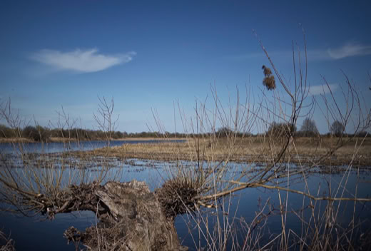 A landscape with a body of water surrounded by dry vegetation and a clear blue sky with a few clouds.