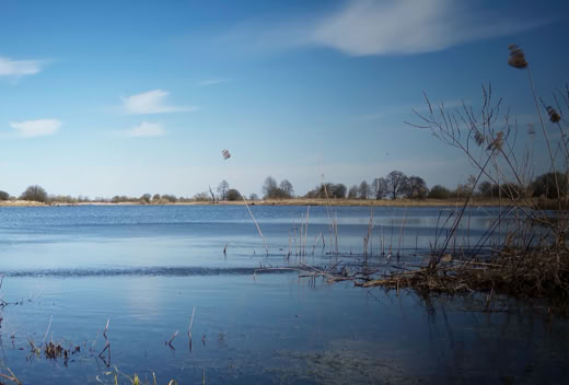 A calm body of water with reeds and grasses in the foreground, under a clear blue sky with a few clouds.