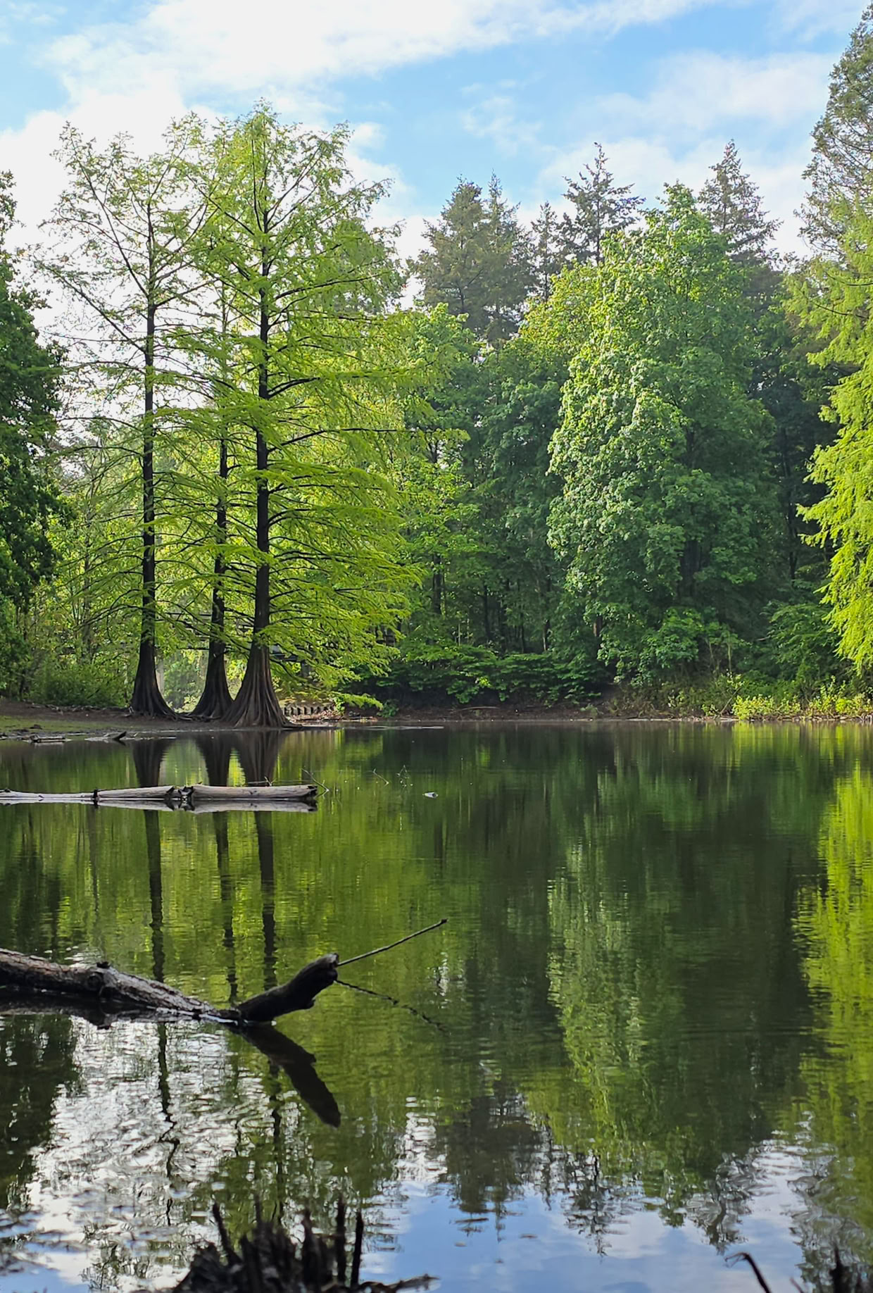 A serene lake with trees reflecting on the water, surrounded by lush green forest under a partly cloudy sky.