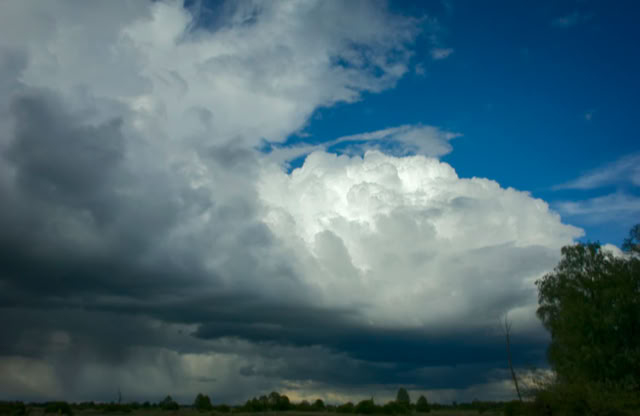 Large, dramatic clouds in a blue sky over a landscape with trees.