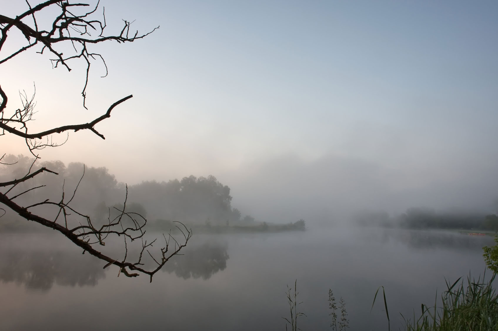 A misty lake scene with bare tree branches in the foreground, surrounded by fog and soft light.