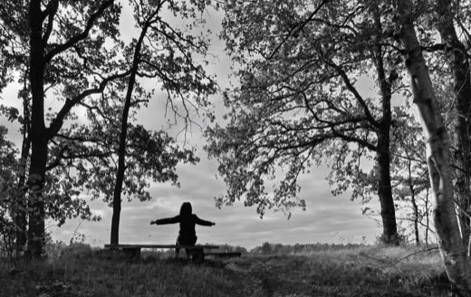 A person with outstretched arms stands on a bench between two large trees in a park, with a cloudy sky in the background.