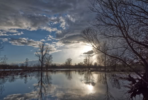 A serene landscape with a reflective body of water, bare trees, and a cloudy sky with the sun partially visible.
